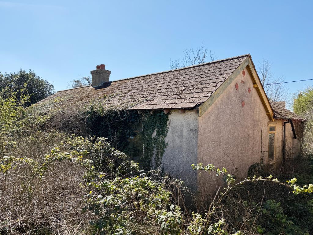 Lot: 135 - DETACHED BUNGALOW FOR TOTAL REFURBISHMENT WITH POTENTIAL - Rear of property
